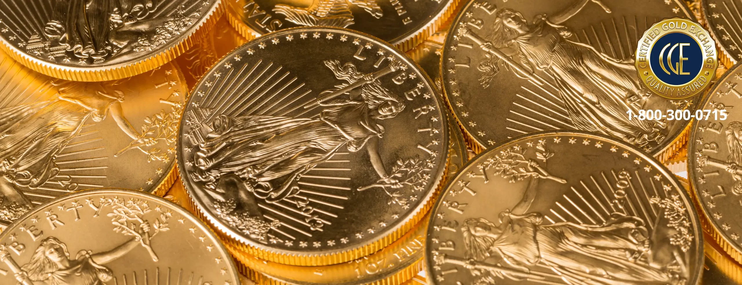 Gold IRA Investment Specialist