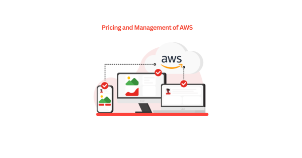 Pricing and Management of AWS