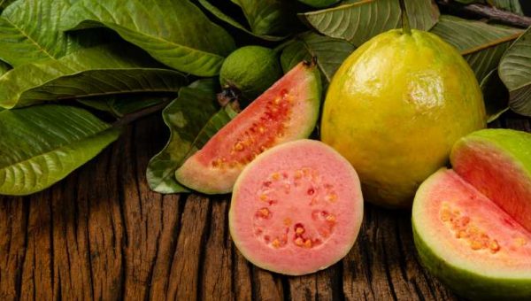 5 Very good Properties Of Guava: A Dietary Powerhouse