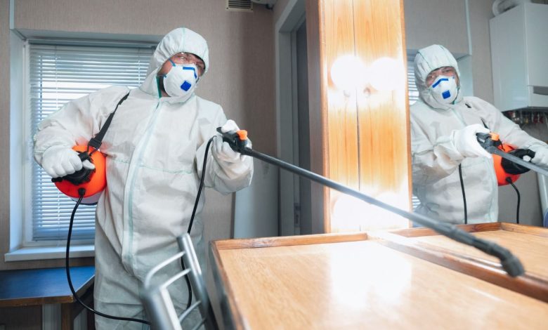 Affordable Pest Control Services in Niskayuna, NY: What You Need to Know